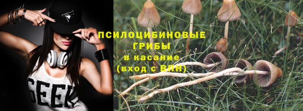 Альфа ПВП Абаза