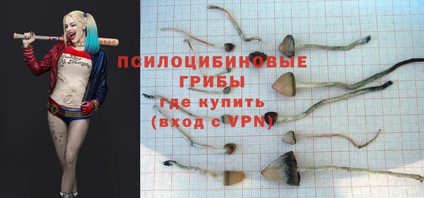 Альфа ПВП Абаза